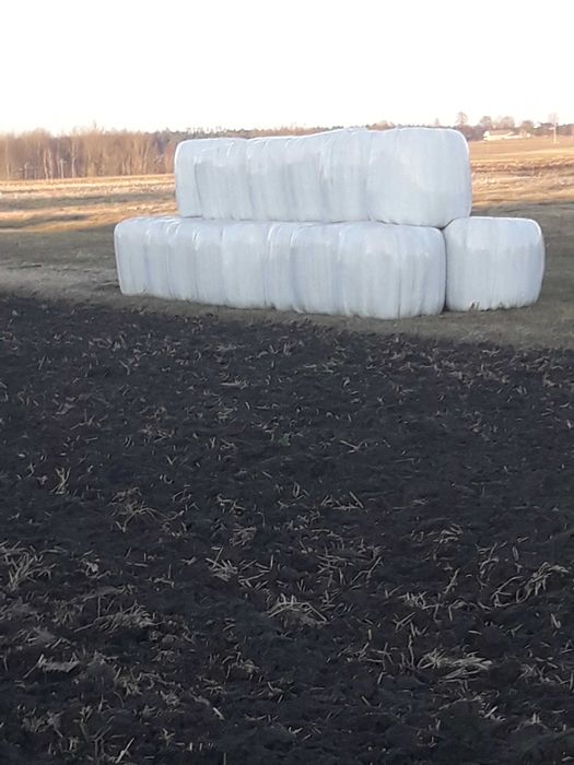 Sprzedam sianokiszonke