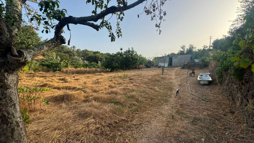 Quinta / Terreno Rústico para Venda – Palvarinho, Salgueiro do Campo