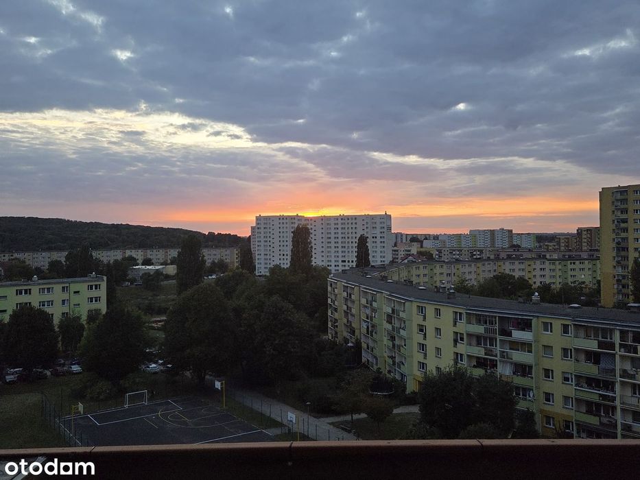 Zdjęcie 8
