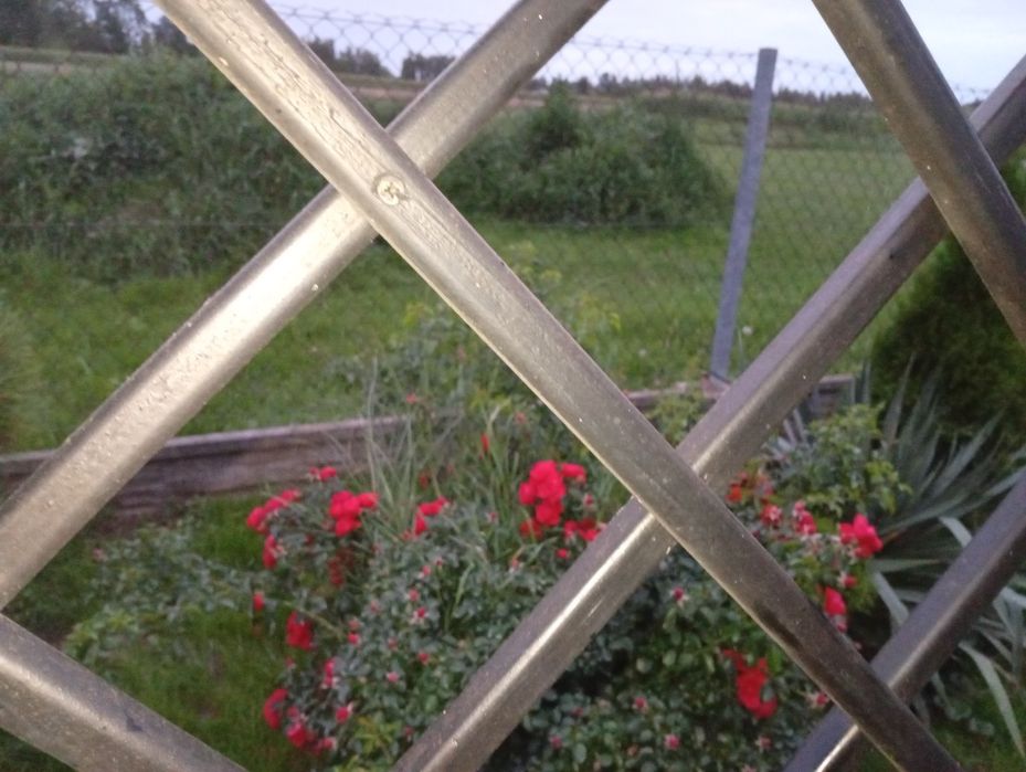 Kratka ogrodowa do pergoli