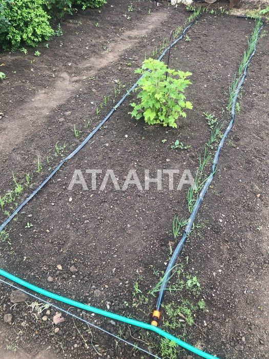 дом в новой Дофиновке