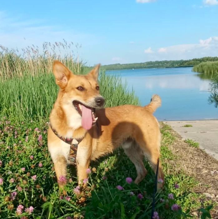 Jacuś szuka swojej Rodziny..
