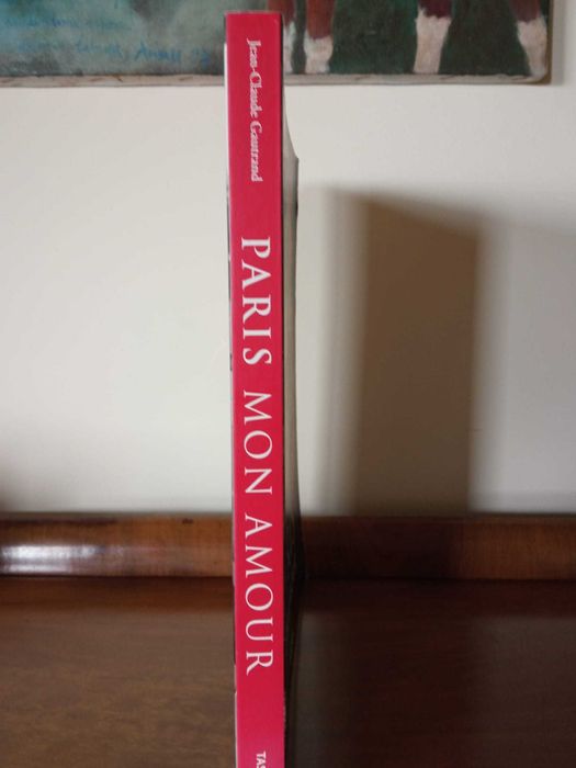 Livro de fotografia sobre Paris, 2004 (como novo)