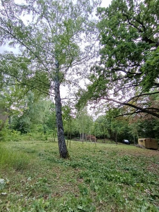 Земельна ділянка під лісом не далеко від Києва