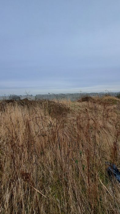 Dom w stanie surowym zamkniętym