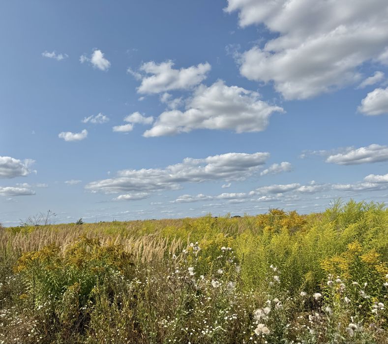 Земельна ділянка 5,9 га! Колонщина!