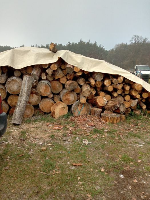 Drewno opałowe suche