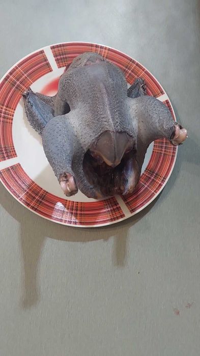 Китайський пуховий шовковий півник