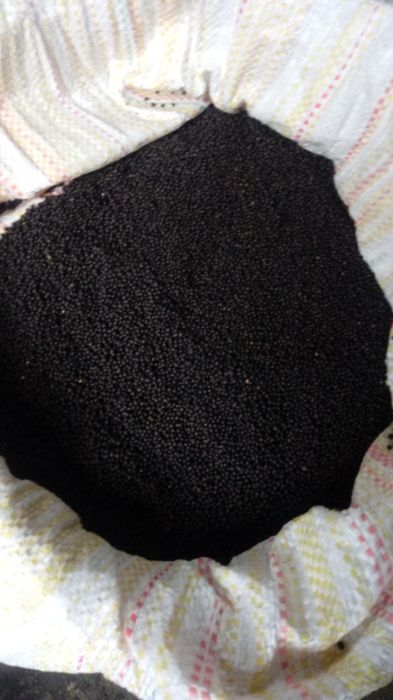 Sprzedam nasiona szalwi