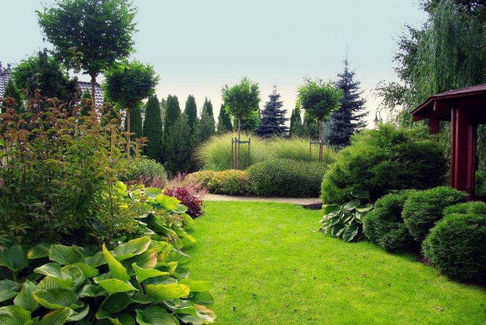 Automatyczne Nawadnianie RainBird Hunter zakładanie Ogrodów Trawniki