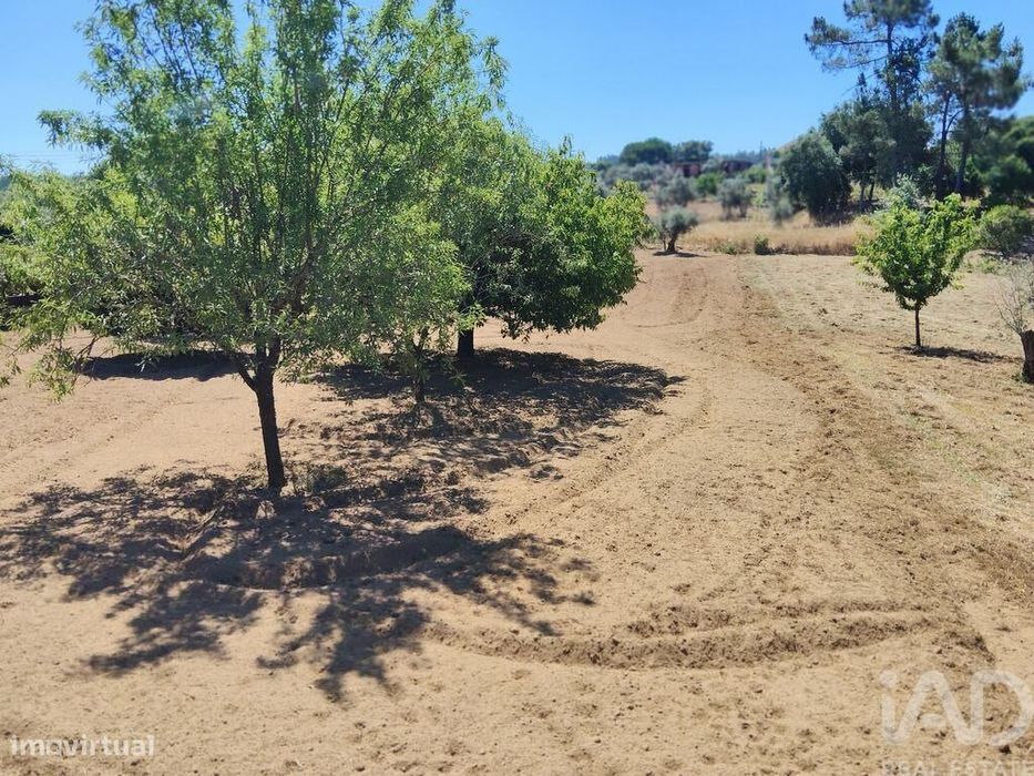 Terreno em Castelo