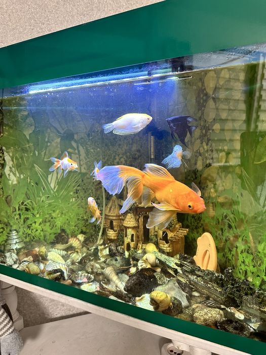 Продам акваріум 130л