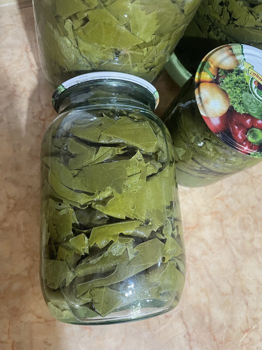 Продам листья винограда