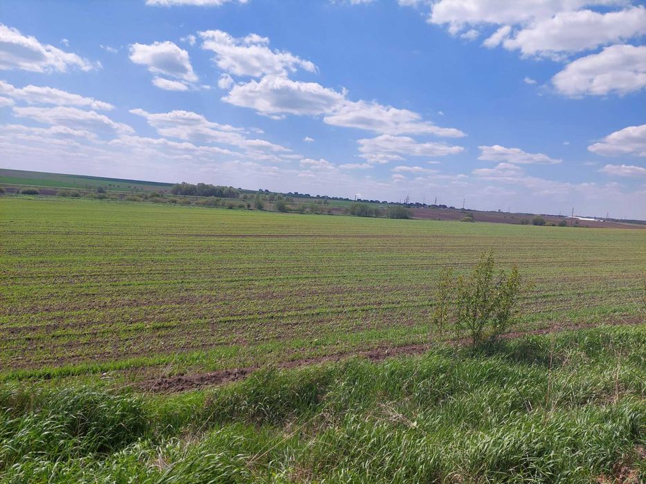 Продам пай с. Колоденка біля дороги Київ-Чоп