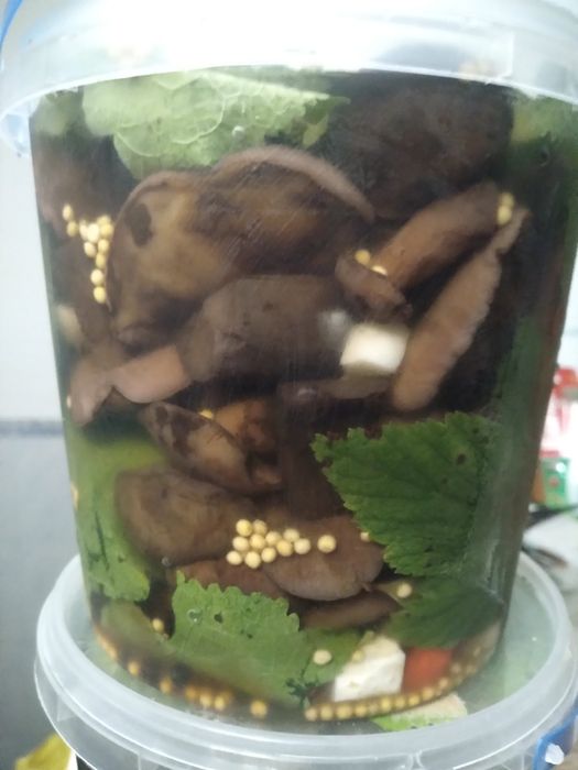 Гриби лісові  квашені,варення чорниці