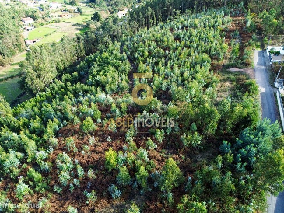 Terreno Rústico  Venda em São Roque,Oliveira de Azeméis — São Roque, Aveiro