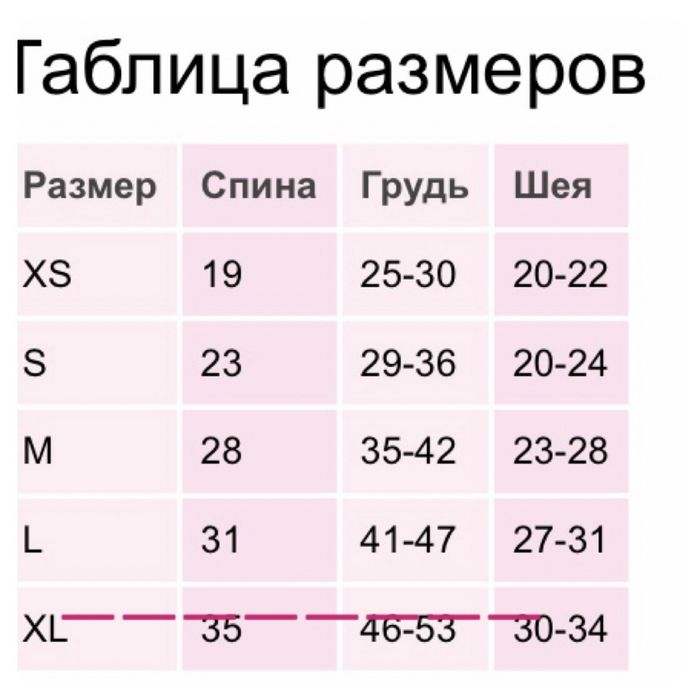 Одежда для йоркширского терьера