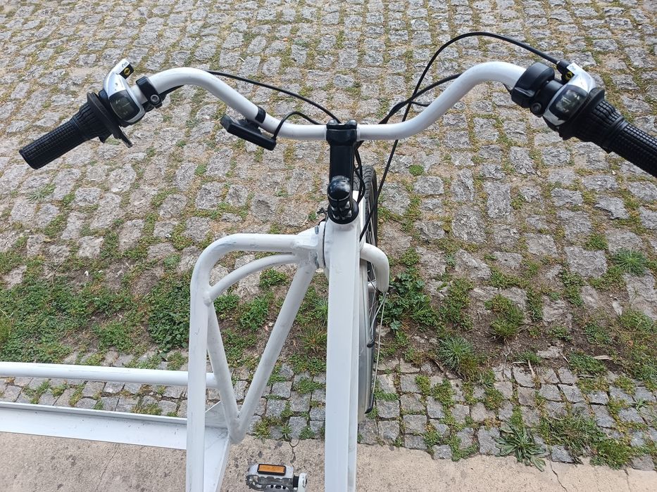 Bicicleta com side car