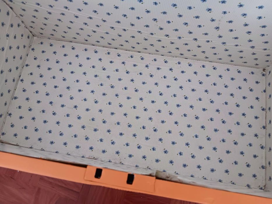 arca pintada laranja