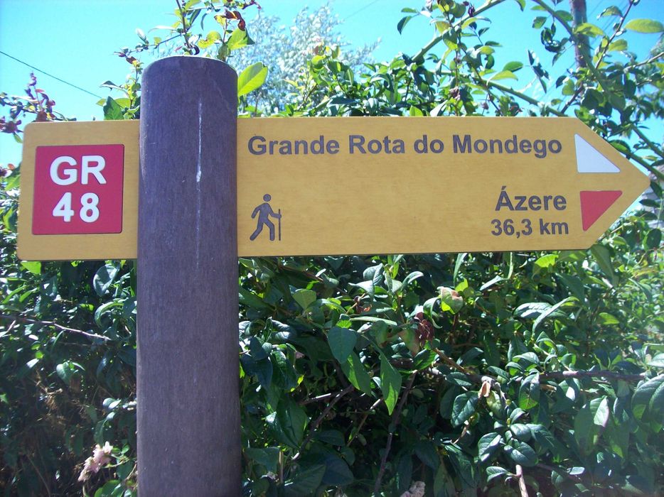 Casa Mondega T1 - Férias Julho/Agosto 2026