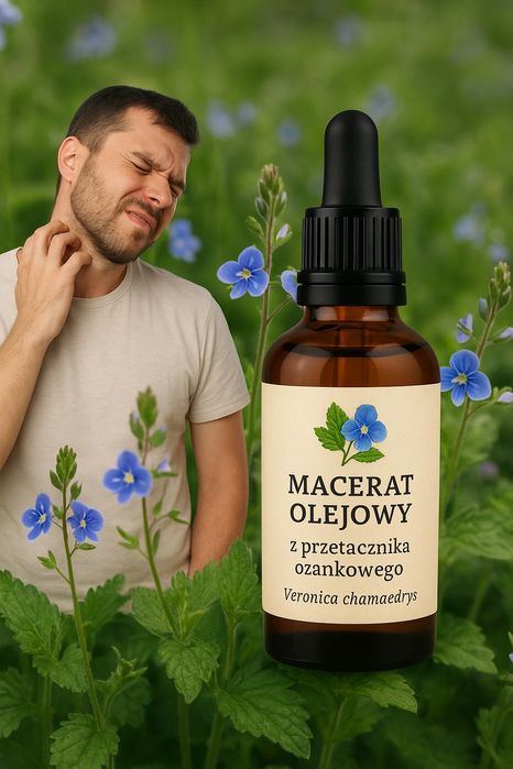 Macerat olejowy z przetacznika ożankowego 100 ml
