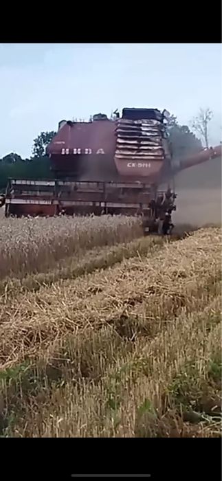 Продаи ниву ск5 в хорошому стані резина нова ремні нові