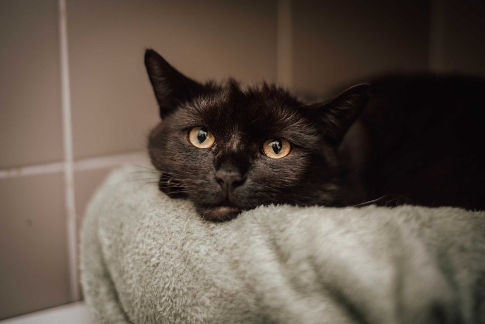 On nie prosi o miłość. On prosi, żeby go nie skrzywdzić. Daj szansę!