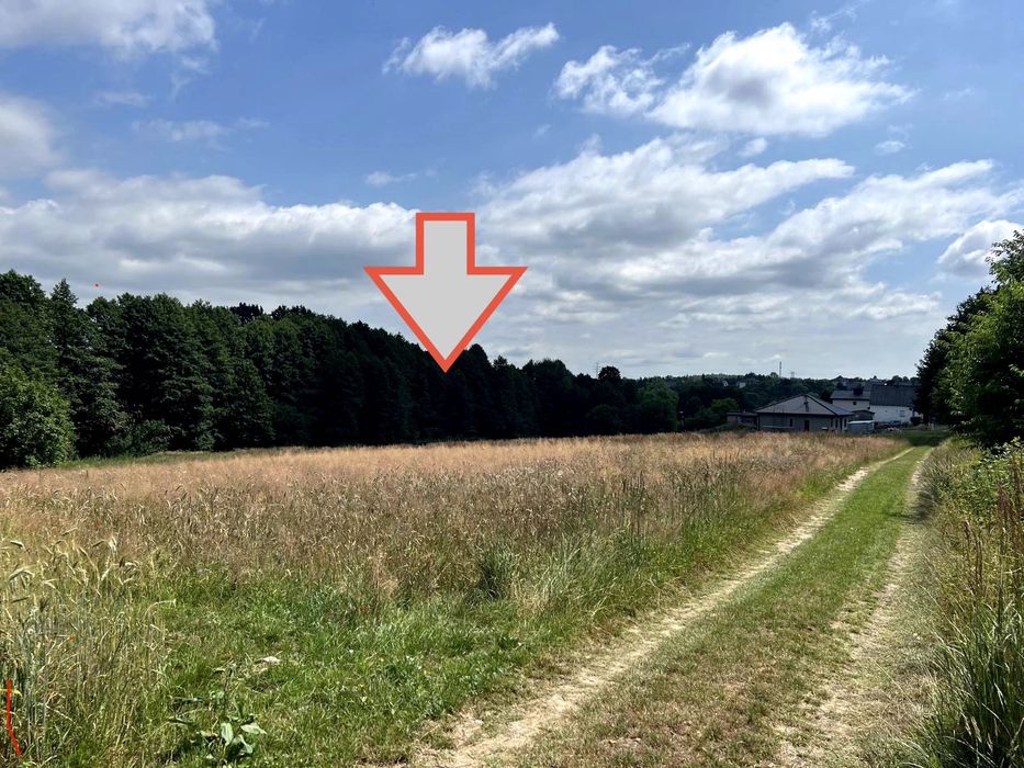 Działka budowlana 2505 m² | Mszana | Cicha okolica | Media | Idealna pod wymarzony dom - Widok 4
