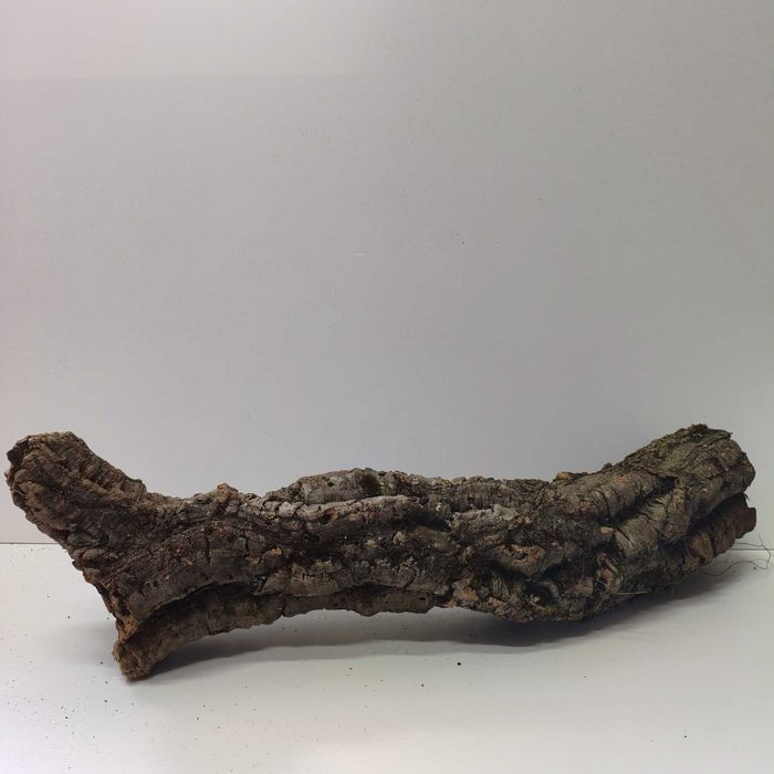 Kora dekoracja naturalny korek do terrarium duża kłoda super 80 cm długości