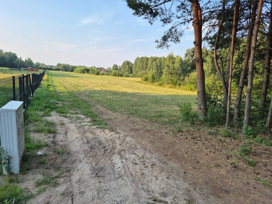 Zdjęcie 3