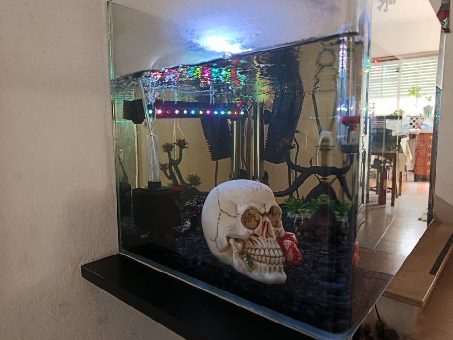 Vendo aquário urgente
