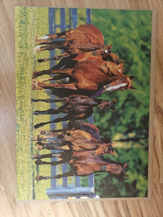 Puzzle 1000 elementów