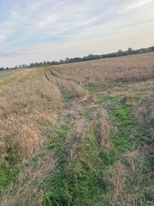 Pole rolne 2,35ha - Widok 2