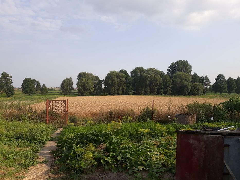 Sprzedam działkę rolną.