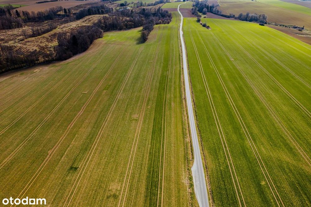 Wyjątkowe działki budowlane z widokiem na Sudety - View 4