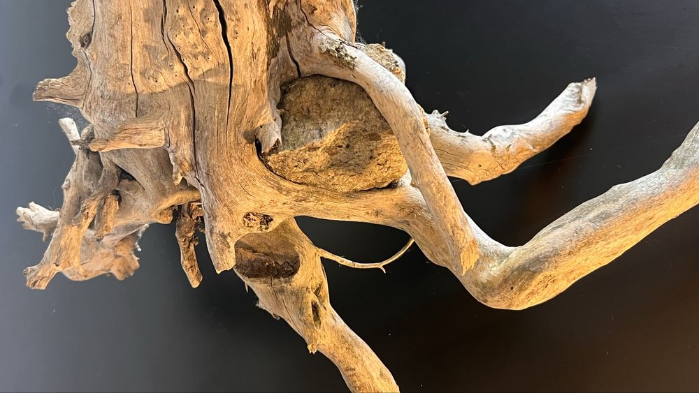 Korzeń do terarium, akwarium