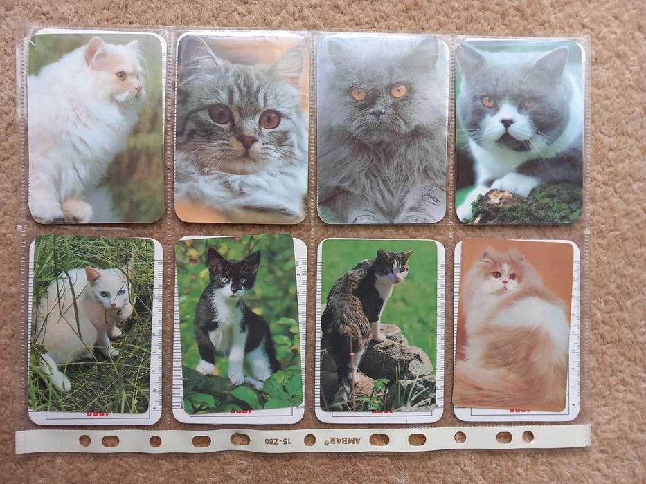 Calendários de bolso + bolsa (portes incluídos)