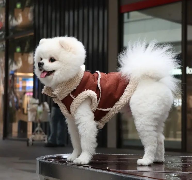 Casaco com pelo para cao / gato