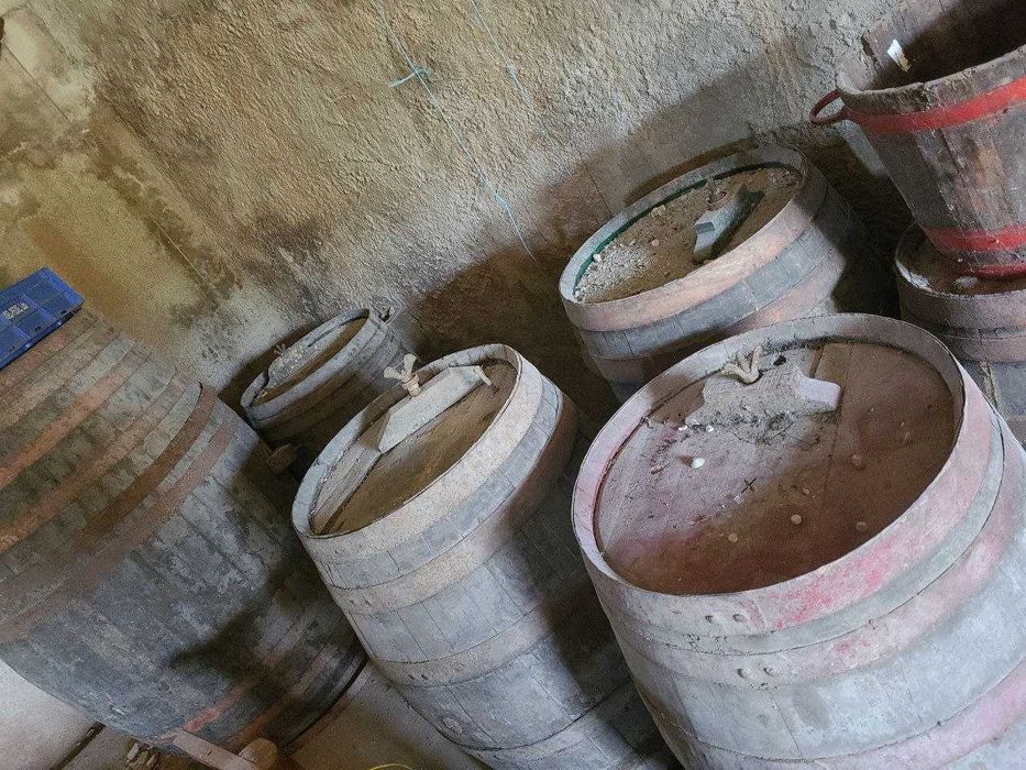 Pipas de vinho usadas Alcobaça E Vestiaria • OLX Portugal