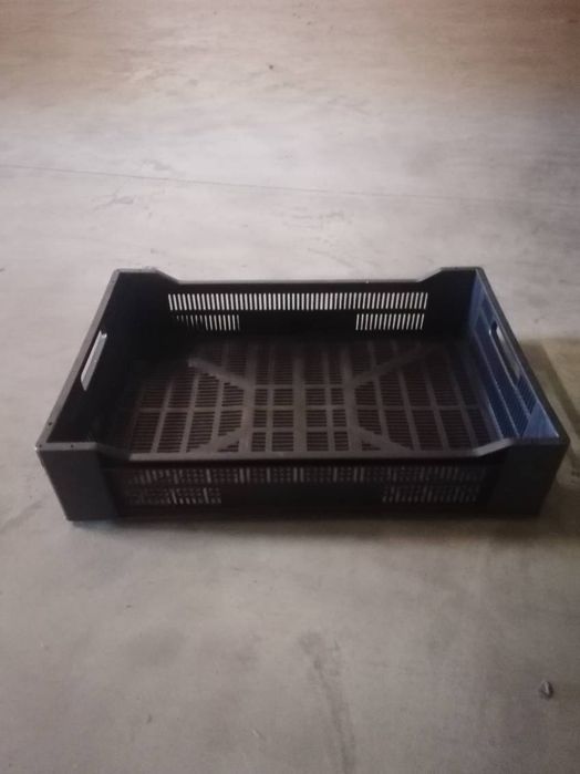 Sprzedam skrzynki plastikowe