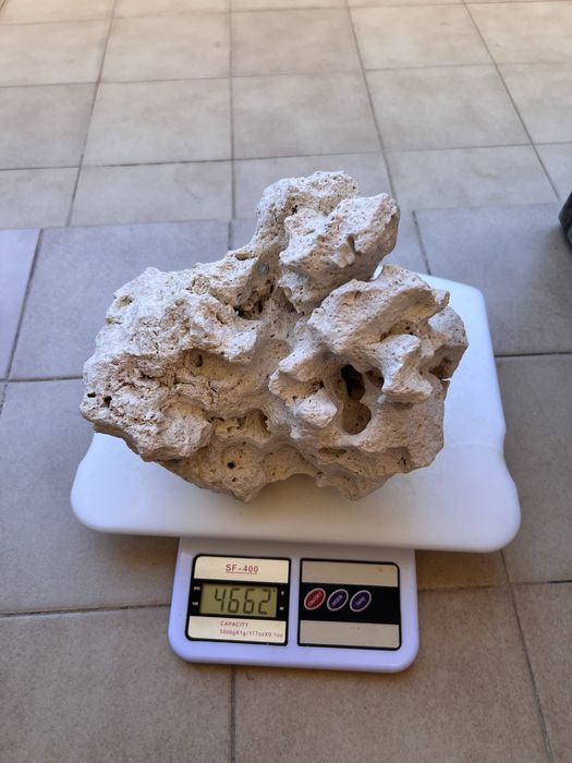 Rocha de coral para aquario agua salgada