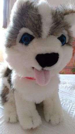 Urso com orelhas de peluche