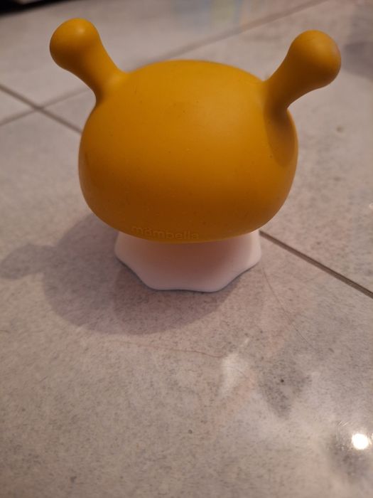 Gryzak grzybek mombella