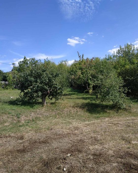 Срочно продам дом в Солоницевском Отг (п.Ольшаны)