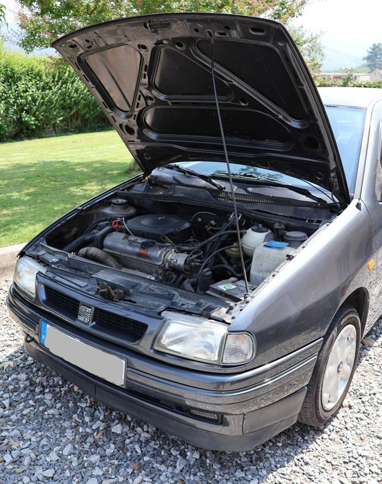 Seat Ibiza | Marina