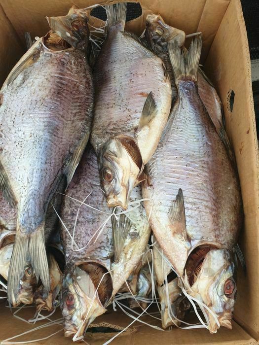 Тарань сушена з ікрою малосольна.  Лящь судак плотва вобла