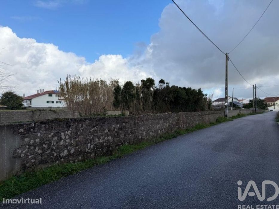 Terreno em Monte Real e Carvide