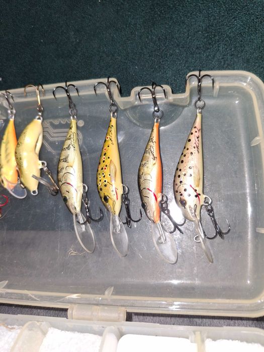 Woblery Pstrąg,Troć