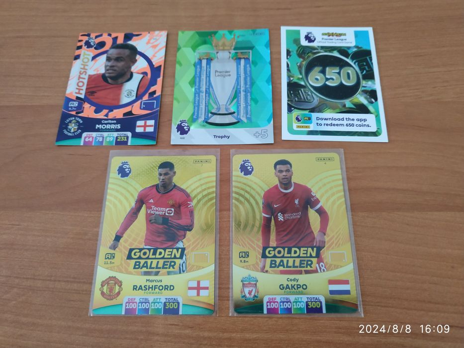 Panini Premier League 2024 - Album + 110 kart ( 2 Golden Baller)