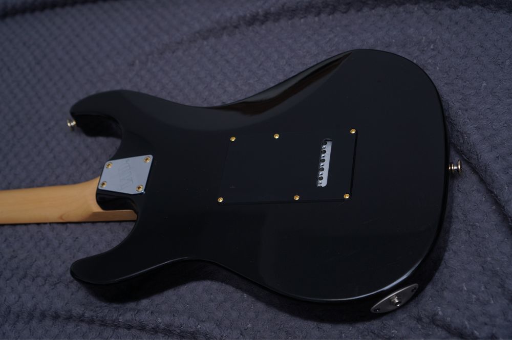 Esp Ltd SN1000 korea custom